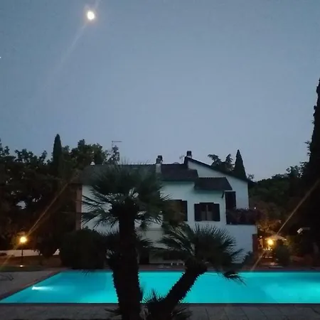 Amo *