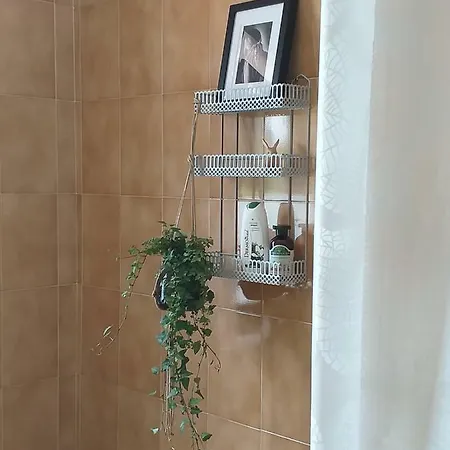 فندق مبيت وإفطار Amo