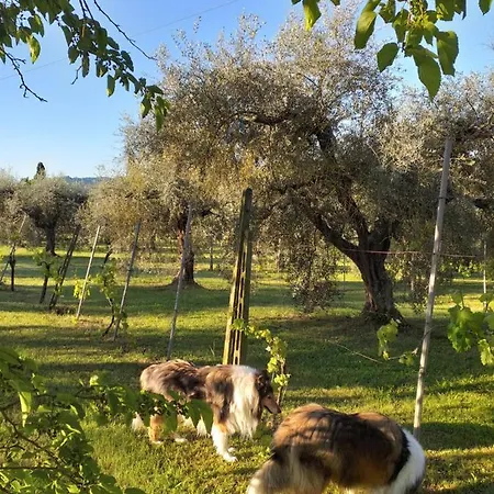 Bed & Breakfast Amo Giove
